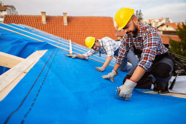 Best Roof Insulation Installation  in Georgetown, KY